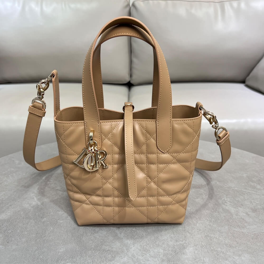Small D10r Toujours Vertical Tote Bag