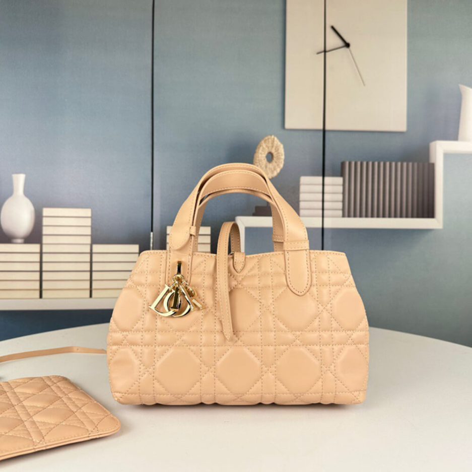 SMALL D10r TOUJOURS BAG